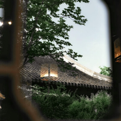 雨伞柄挂着未融化的雪、我们中间隔着叹息的雾