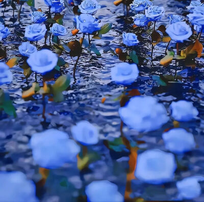 背景图