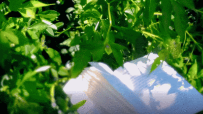 程鑫GIF