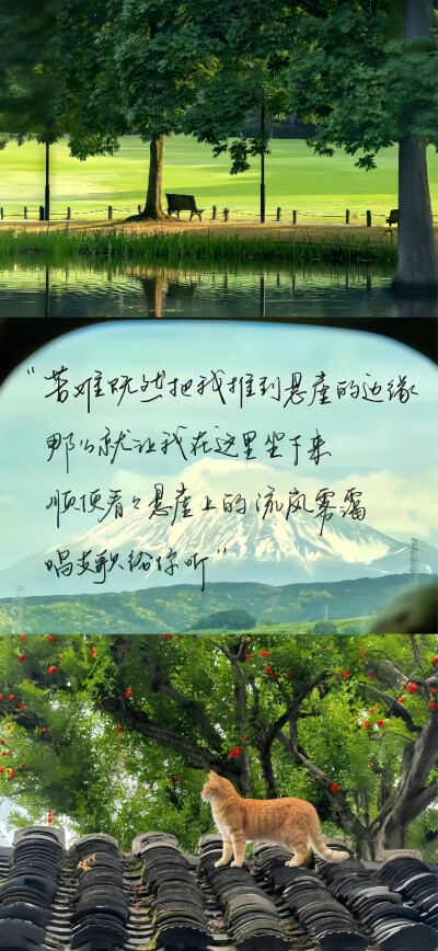 壁纸