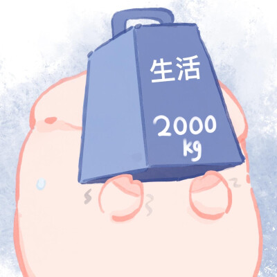 一只屁可猪