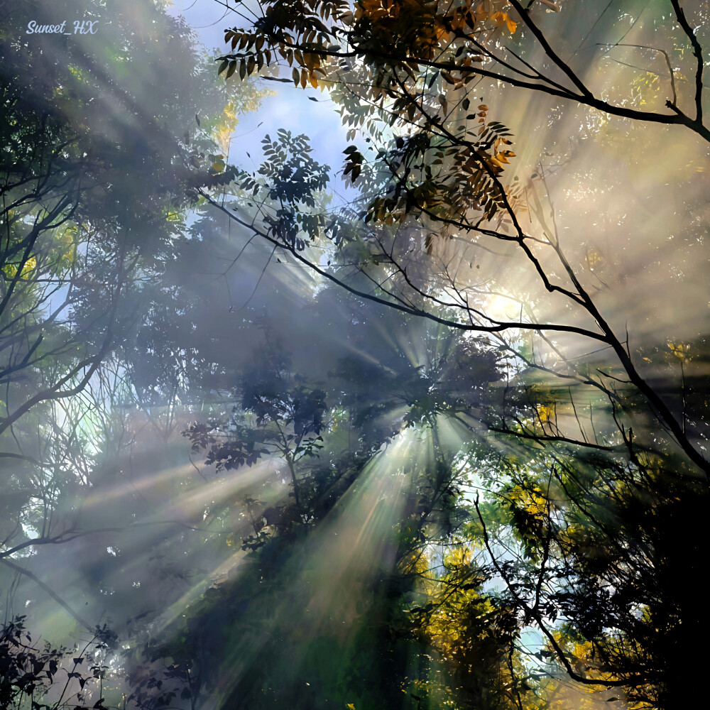 印制镜子另一面的我