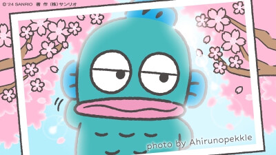 『sanrio丑鱼汉顿』头像▪壁纸