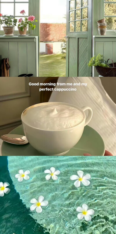 壁纸
