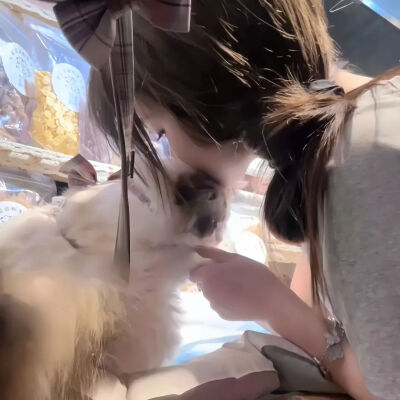 闺蜜头像
喜欢点赞关注收藏