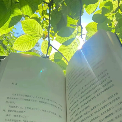 绿色背景图