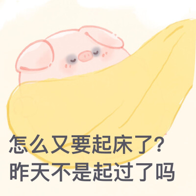 一只屁可猪