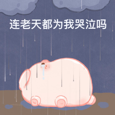一只屁可猪