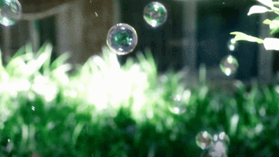程鑫GIF