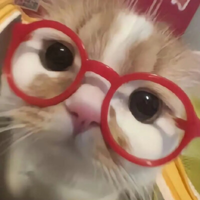 侵删