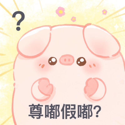 一只屁可猪
