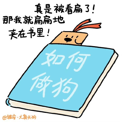 大鼻头狗