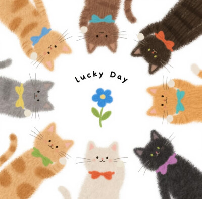 猫猫₍˄·͈༝·͈˄*₎੭