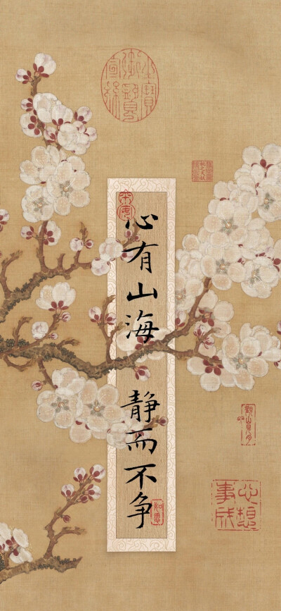 壁纸