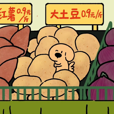 大鼻头狗