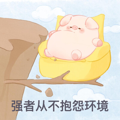 一只屁可猪