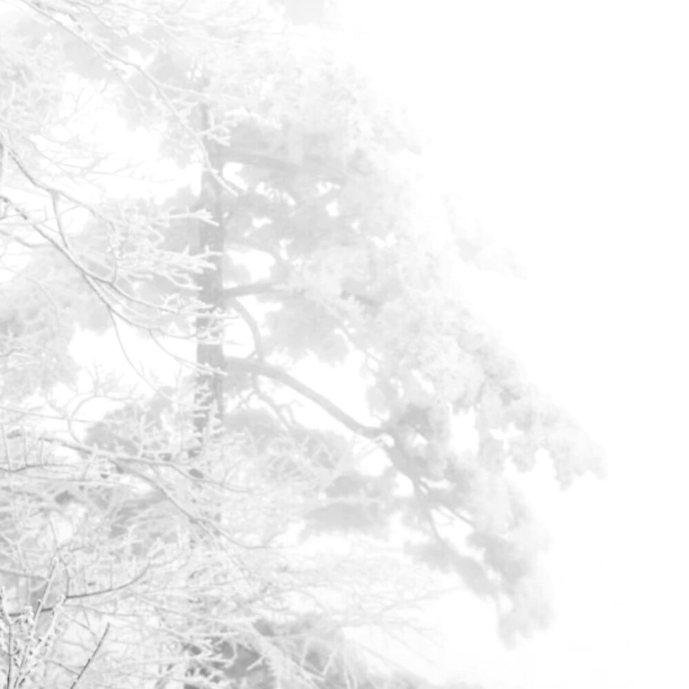 想你的世界下起了雨