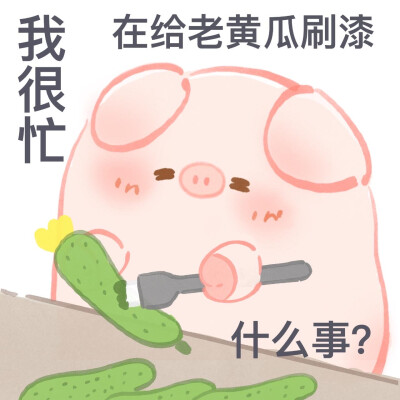 一只屁可猪