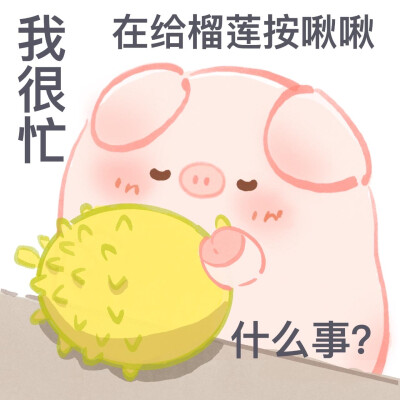 一只屁可猪