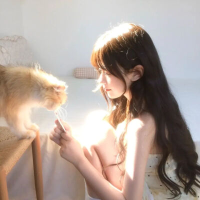 闺蜜头像
喜欢点赞关注收藏