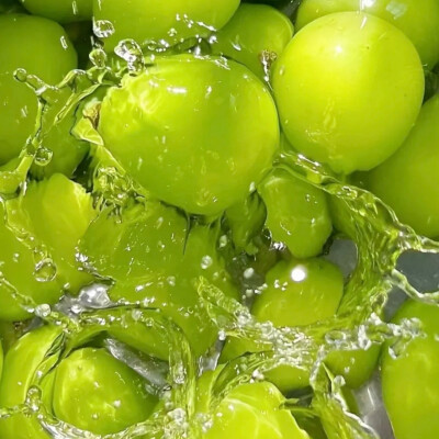 绿色背景图