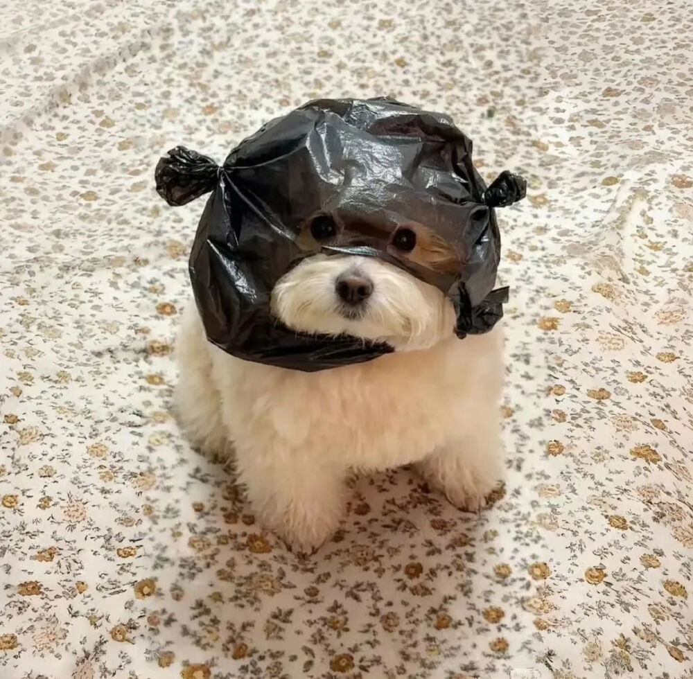 侵删