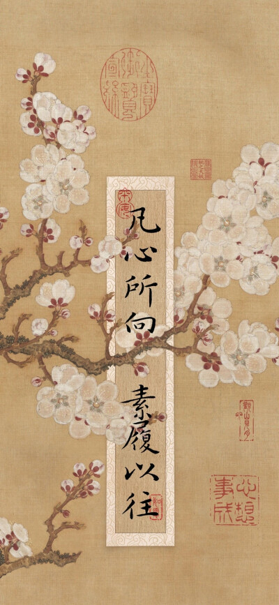 壁纸
