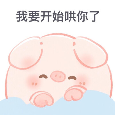 一只屁可猪