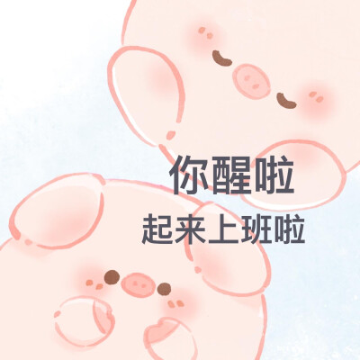 一只屁可猪