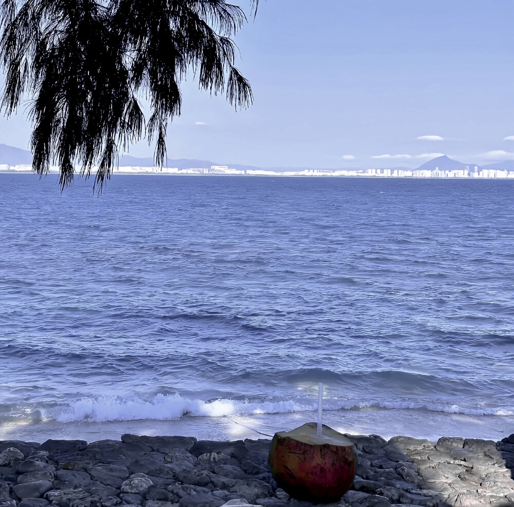 二改注傅芷（已微调