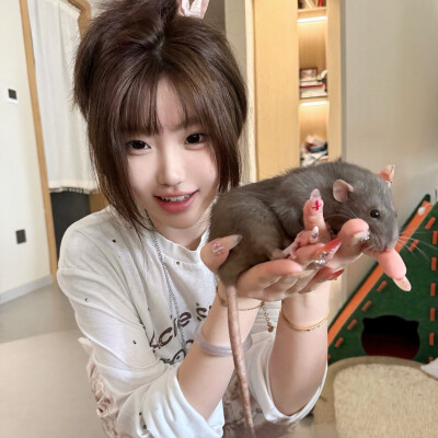 一起看愚蠢的晚霞吧