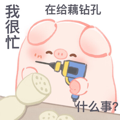一只屁可猪