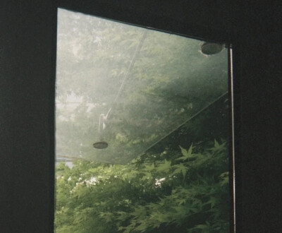 头像 背景 女生 绿色 森系 小众