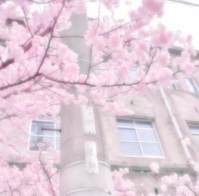 勤奋滴我今天双更～(≧▽≦)