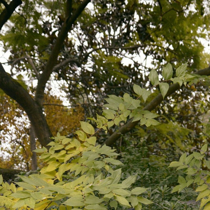 田曦薇套图可二改