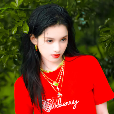 张婧仪