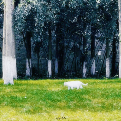 »邵明明