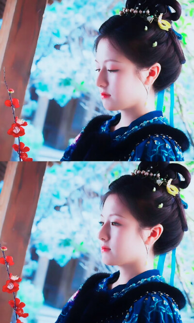 李兰迪《朝雪录》沈莞/秦莞