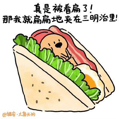 大鼻头狗