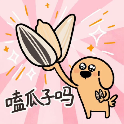 大鼻头狗