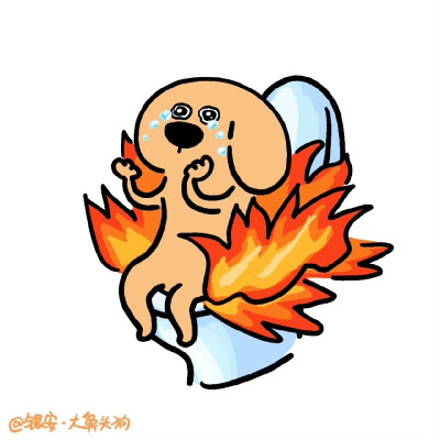 大鼻头狗