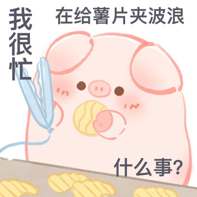 一只屁可猪
