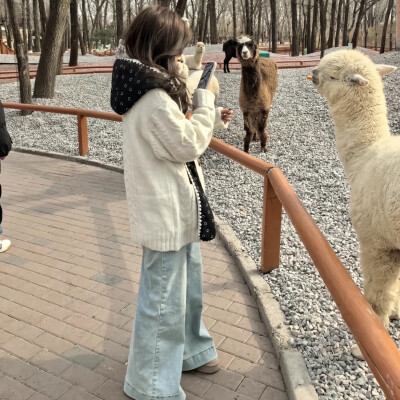 又是那些对的错的 我有点困了