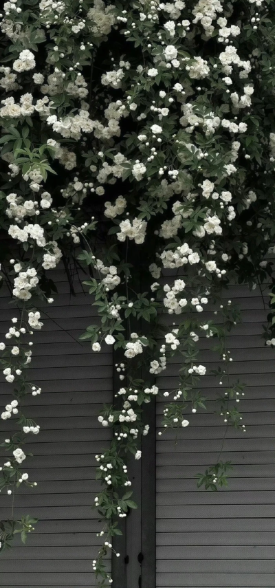 更