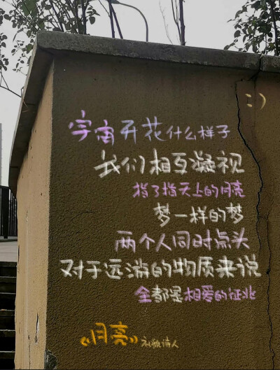 二改看简介
