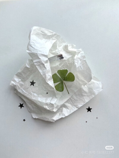 古早四叶草壁纸