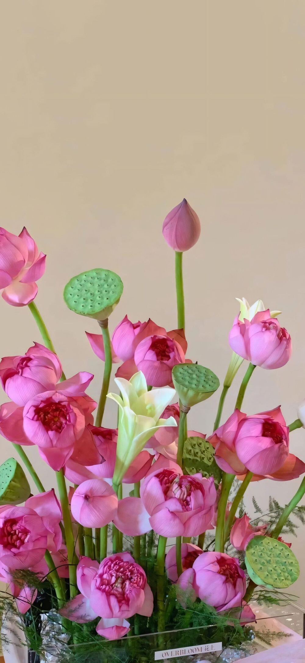 “把好运藏在花里，愿它能为你带来幸运与欢愉” ​​​