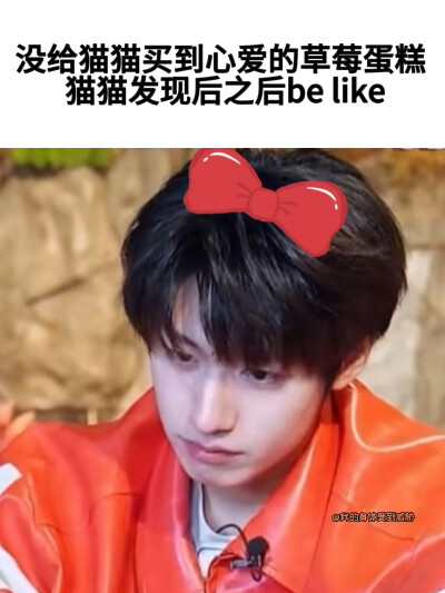 求哄猫教程
