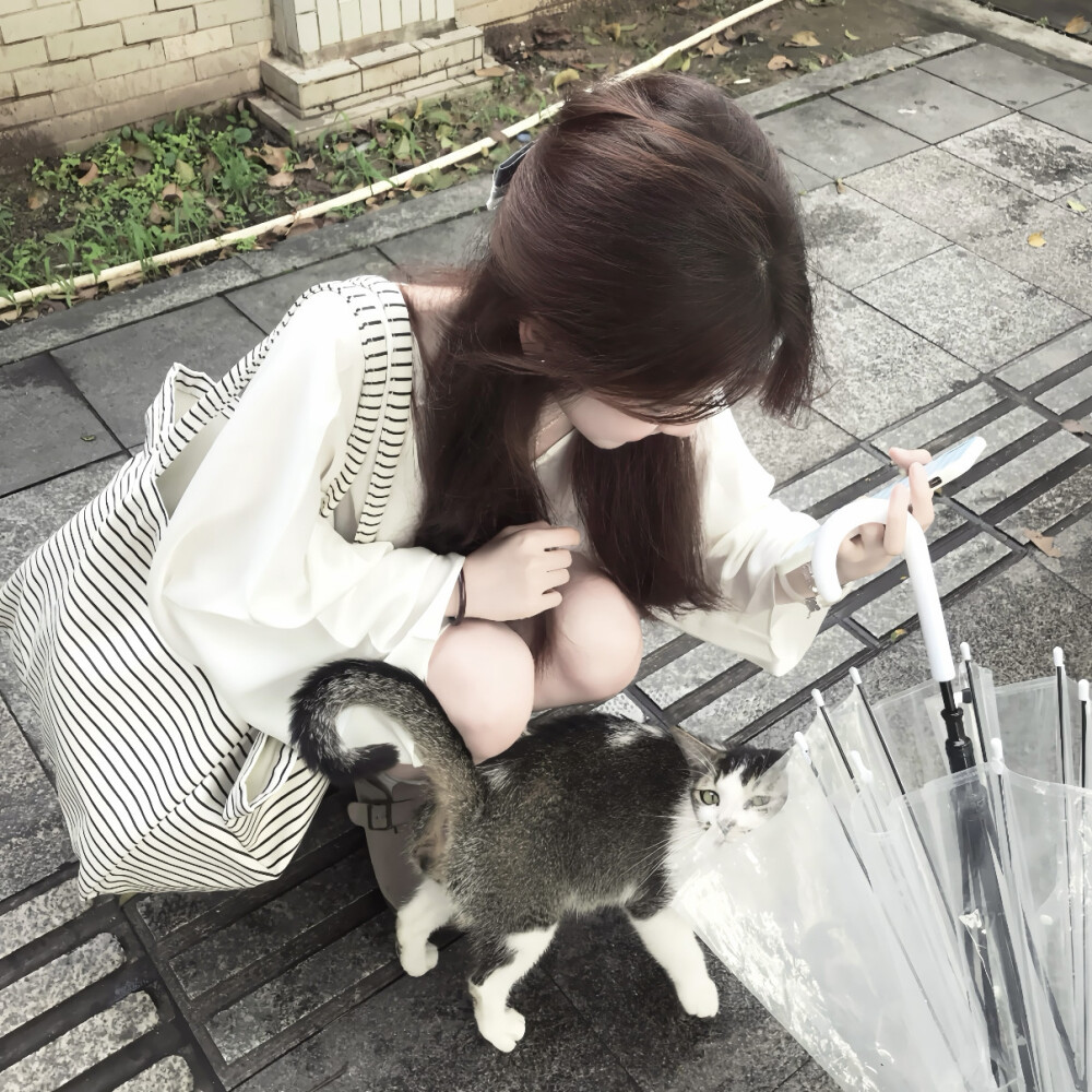 风格女头
二传头像注明出处