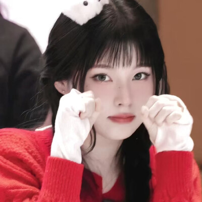 张圭真